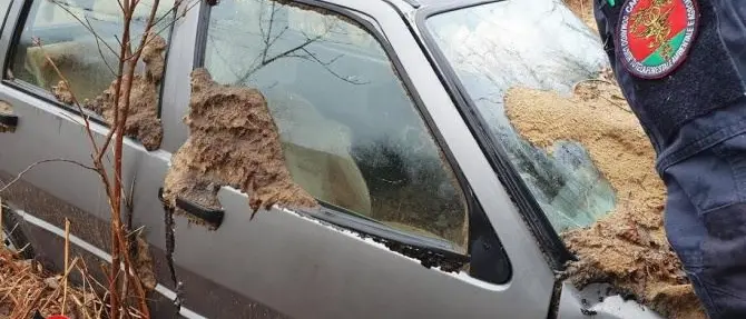 Vecchie auto abbandonate nelle campagne, 29mila euro di multe nel Vibonese