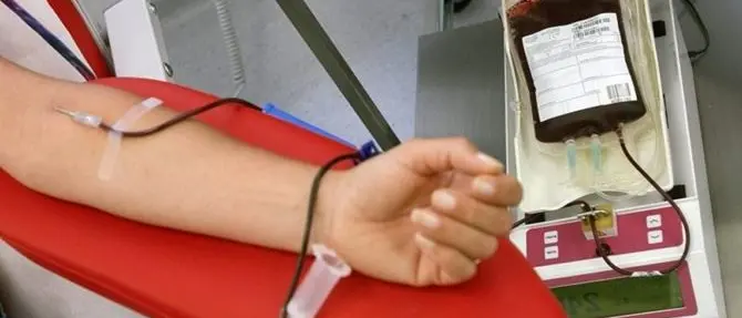 Coronavirus, in calo le donazioni di sangue: l'appello di Avis Calabria