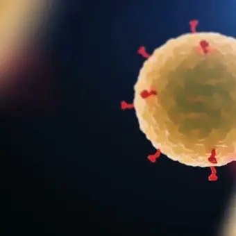 Coronavirus, dall’Olanda il primo farmaco per neutralizzarlo