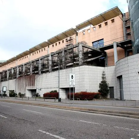 «L'ospedale alla Fiera di Milano potrebbe aiutare anche il Sud»