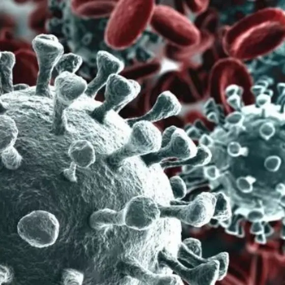 Coronavirus, parte la sperimentazione del farmaco anti-artrite: ok dall'Aifa