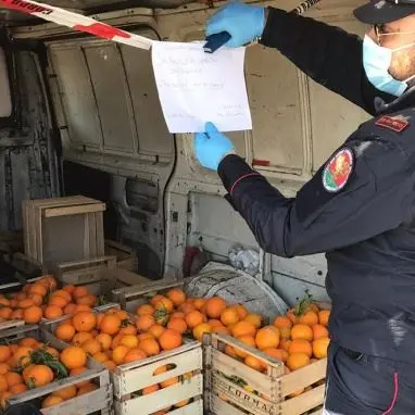 In giro a vendere arance nonostante il Decreto coronavirus, denunciati