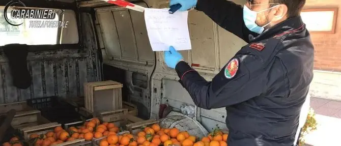 In giro a vendere arance nonostante il Decreto coronavirus, denunciati