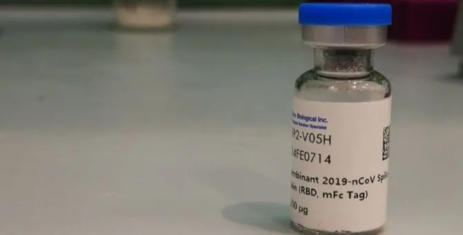 Coronavirus, dall'Unical una speranza: «Anticorpi sintetici per combattere l'infezione»