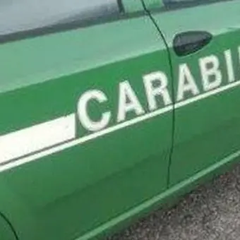 Sporcizia e muffa dappertutto, carabinieri sequestrano caseificio a Palmi