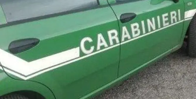 Sporcizia e muffa dappertutto, carabinieri sequestrano caseificio a Palmi