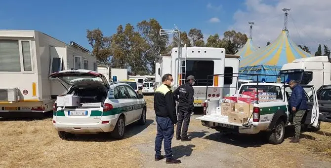 Circensi bloccati a Montebello Jonico: aiuti dal comune di Reggio Calabria