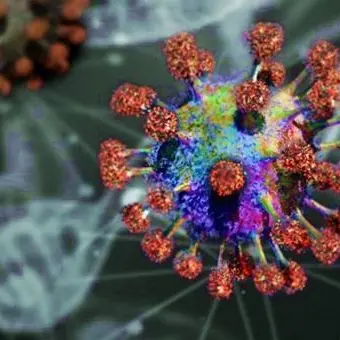 Coronavirus a Vibo Valentia, ci sono due nuovi casi positivi
