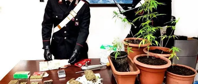 Armi e stupefacenti, due arresti a Reggio Calabria e Taurianova