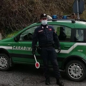Acri, a spasso nonostante la quarantena obbligatoria: denunciati