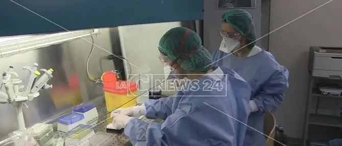 Coronavirus, in provincia di Vibo Valentia i casi salgono a 25