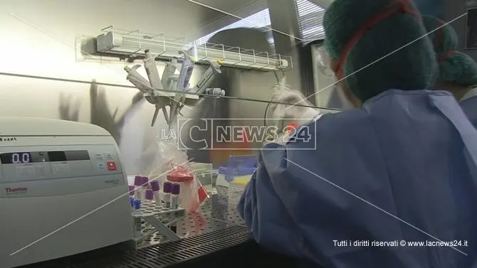 Coronavirus, nel Vibonese aumentano i casi: nuovi contagi a Fabrizia e Serra