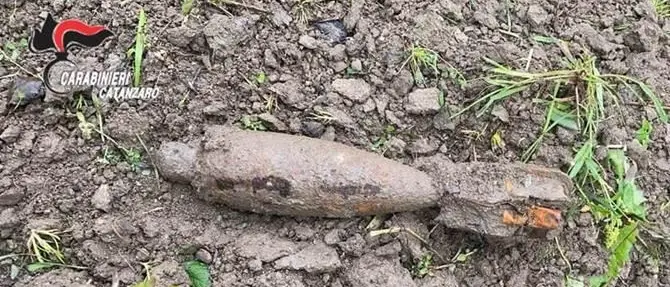 Maida, mentre lavora la terra trova una bomba della seconda guerra mondiale