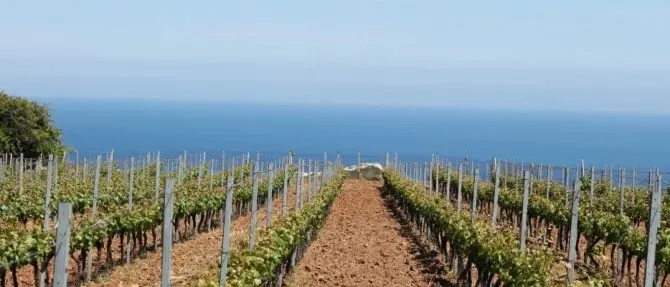 Furto a cooperativa anti-racket nel Reggino, rubati tutti gli attrezzi agricoli