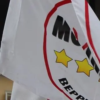 Il M5s chiede le dimissioni di Pallaria: «Serve una figura di comprovata esperienza»