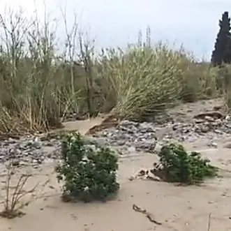 Maltempo nel Vibonese, Pitaro: «I comuni chiedano lo stato di calamità»