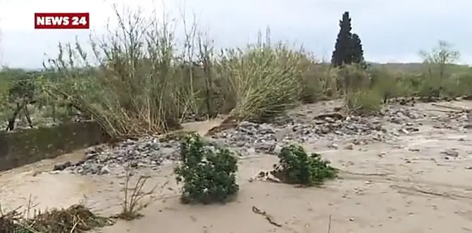 Maltempo nel Vibonese, Pitaro: «I comuni chiedano lo stato di calamità»