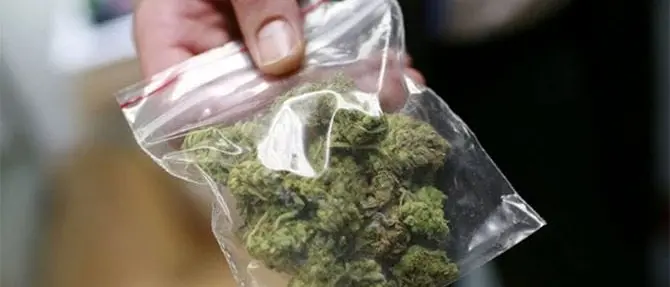 Il comune è zona rossa così vende droga da casa: un arresto nel Catanzarese