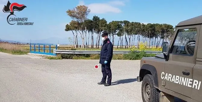 A raccogliere asparagi o a passeggio sulla spiaggia: diverse sanzioni nel Cosentino