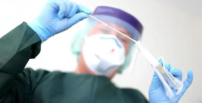 Coronavirus, otto nuovi contagi tra Catanzaro e Vibo Valentia