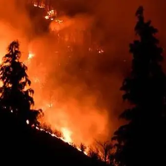 Macchia mediterranea in fiamme nel Crotonese: una denuncia per incendio colposo