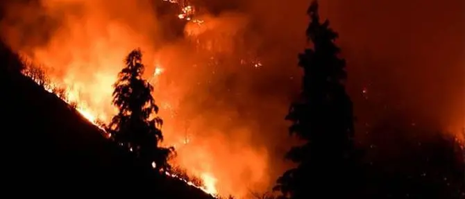 Macchia mediterranea in fiamme nel Crotonese: una denuncia per incendio colposo