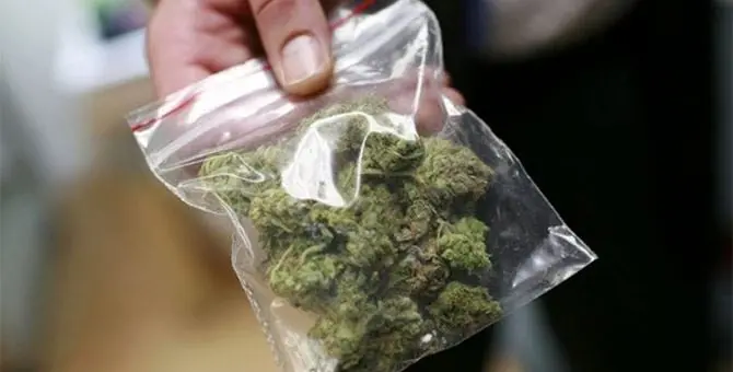 Catanzaro, in bus con marijuana nel giubbotto: denunciato un 17enne