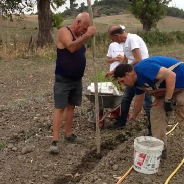In Calabria una coop di disabili regala frutta e verdura alle famiglie bisognose