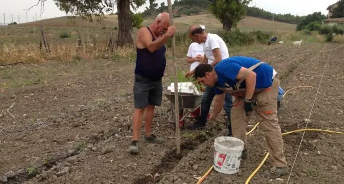 In Calabria una coop di disabili regala frutta e verdura alle famiglie bisognose