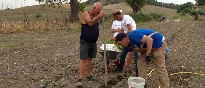 In Calabria una coop di disabili regala frutta e verdura alle famiglie bisognose