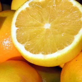 Da Rosarno quintali di arance per le famiglie bisognose di Bergamo