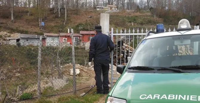 Locride, bosco distrutto per far posto a baracche abusive: 7 denunce