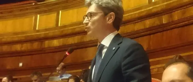 Decreto liquidità, Mangialavori (Fi): «Va cambiato, così non serve alle imprese»