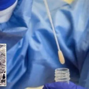 Falso contagiato a Falerna: «Nel reparto Covid ha rischiato di ammalarsi veramente»