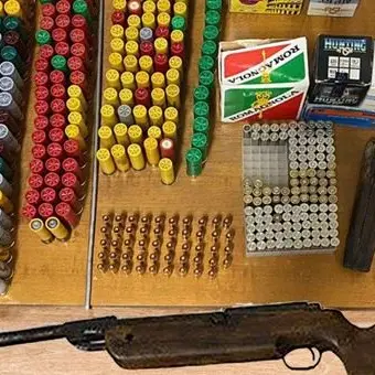 Caulonia, blitz dei carabinieri in un casolare: trovate armi e munizioni