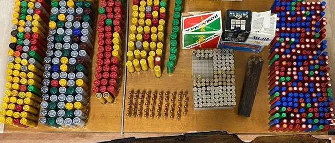 Caulonia, blitz dei carabinieri in un casolare: trovate armi e munizioni