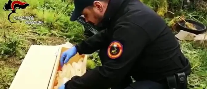 Esplosivo ad alto potenziale, un fucile e munizioni sequestrati nella Locride