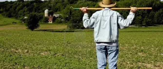 Lavoro, in Calabria crollano le nuove assunzioni: 20mila in meno in 2 mesi