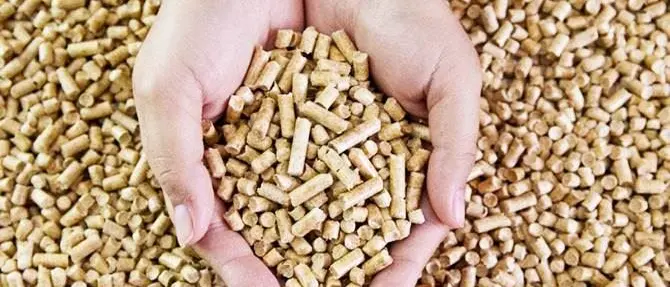 Pellet nocivo e pericoloso per la salute, sequestri anche in Calabria