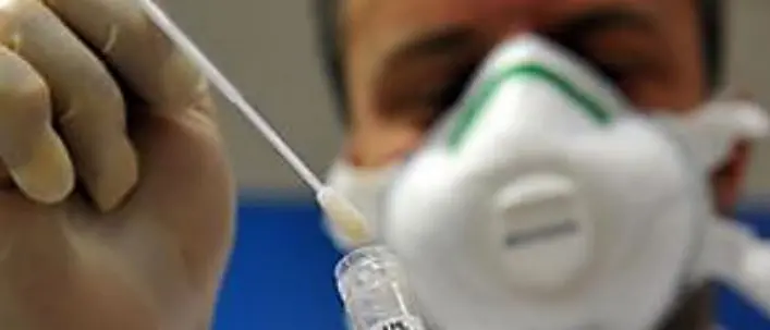 Coronavirus, in Calabria contagi quasi azzerati: solo un caso in più rispetto al bollettino ieri