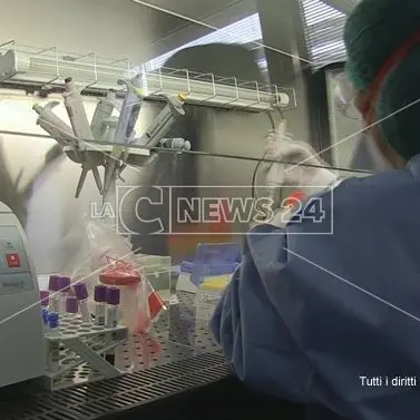 Coronavirus, zero nuovi casi nella provincia di Cosenza
