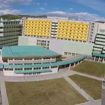 All'Università di Catanzaro laurea in videoconferenza per dieci neo-infermieri