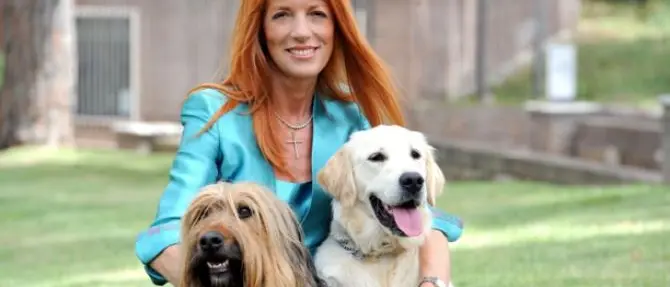 Sblocco delle adozioni per aiutare canili e rifugi, Brambilla scrive al governo