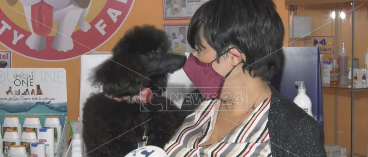 «Fateci riaprire», l'appello accorato dei toelettatori di animali alla Regione