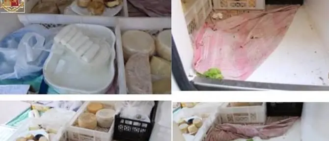 Latticini trasportati nella sporcizia sequestrati a Soverato