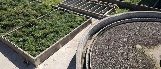 Cariati, blitz al depuratore: sequestrate vasche piene di fanghi