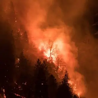 Bosco in fiamme dopo barbecue, maxi-sanzione da 13 milioni per due studenti