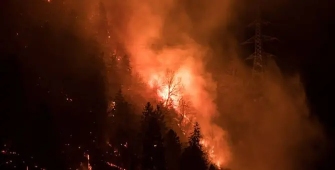 Bosco in fiamme dopo barbecue, maxi-sanzione da 13 milioni per due studenti