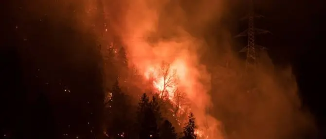 Bosco in fiamme dopo barbecue, maxi-sanzione da 13 milioni per due studenti