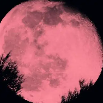 Occhi al cielo, arriva la luna rosa: ecco quando ammirarla